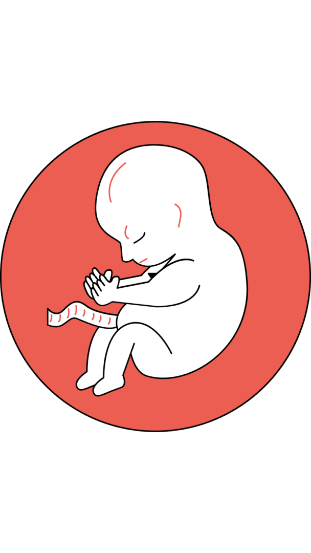 Highlight Cover 608x1080